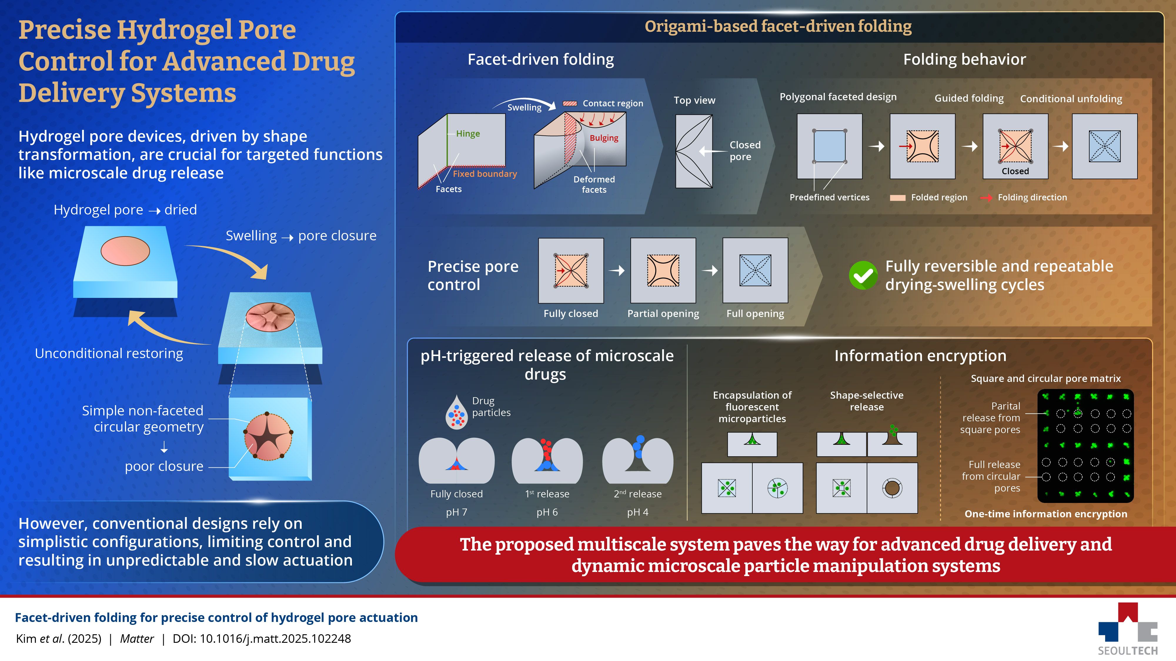 Developing Smarter, More Controllable Hydrogel Pores 썸내일 이미지