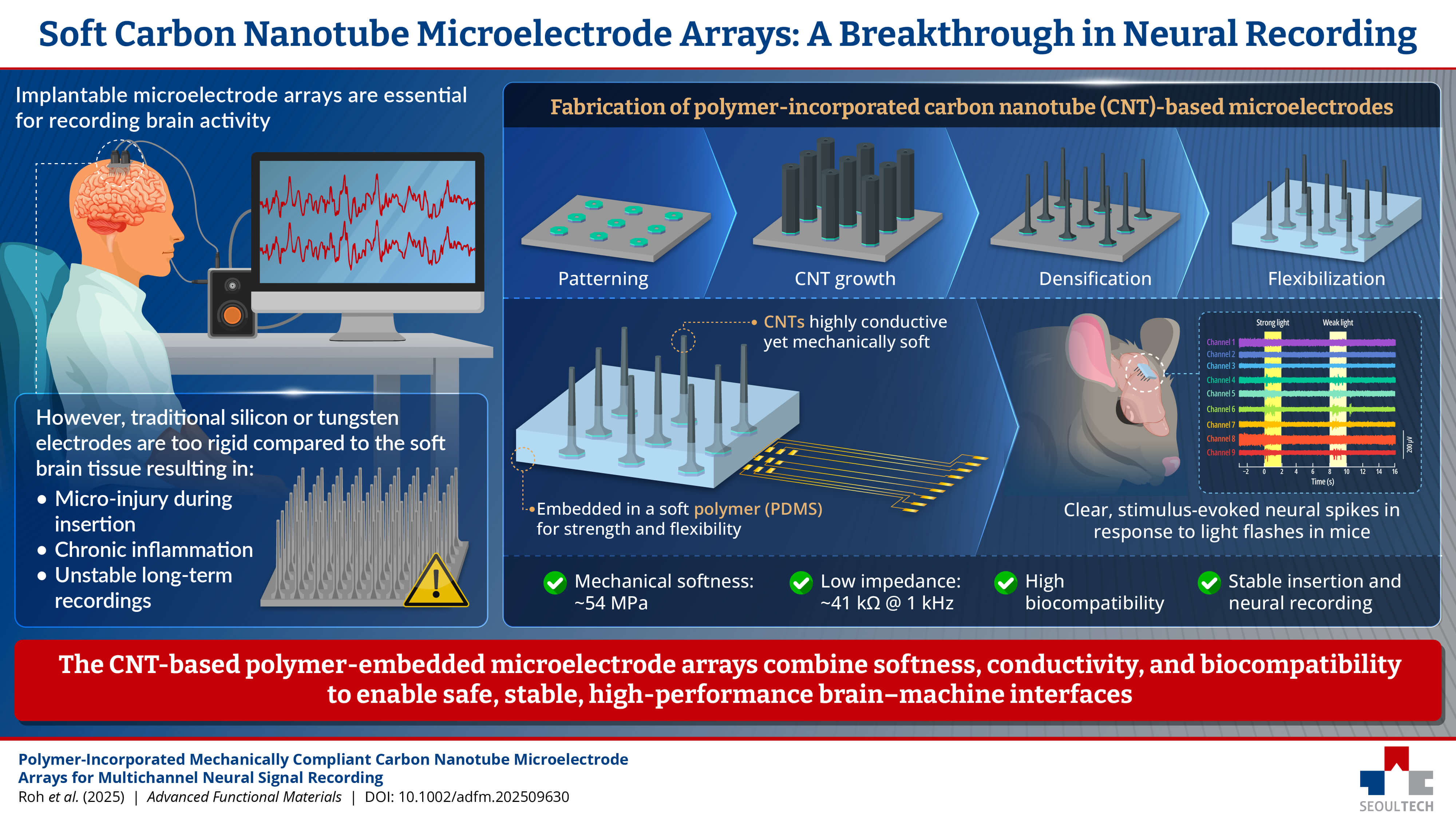Developing Hybrid Polymer-CNT Electrodes for Safer Brain-Machine Interfaces 썸내일 이미지