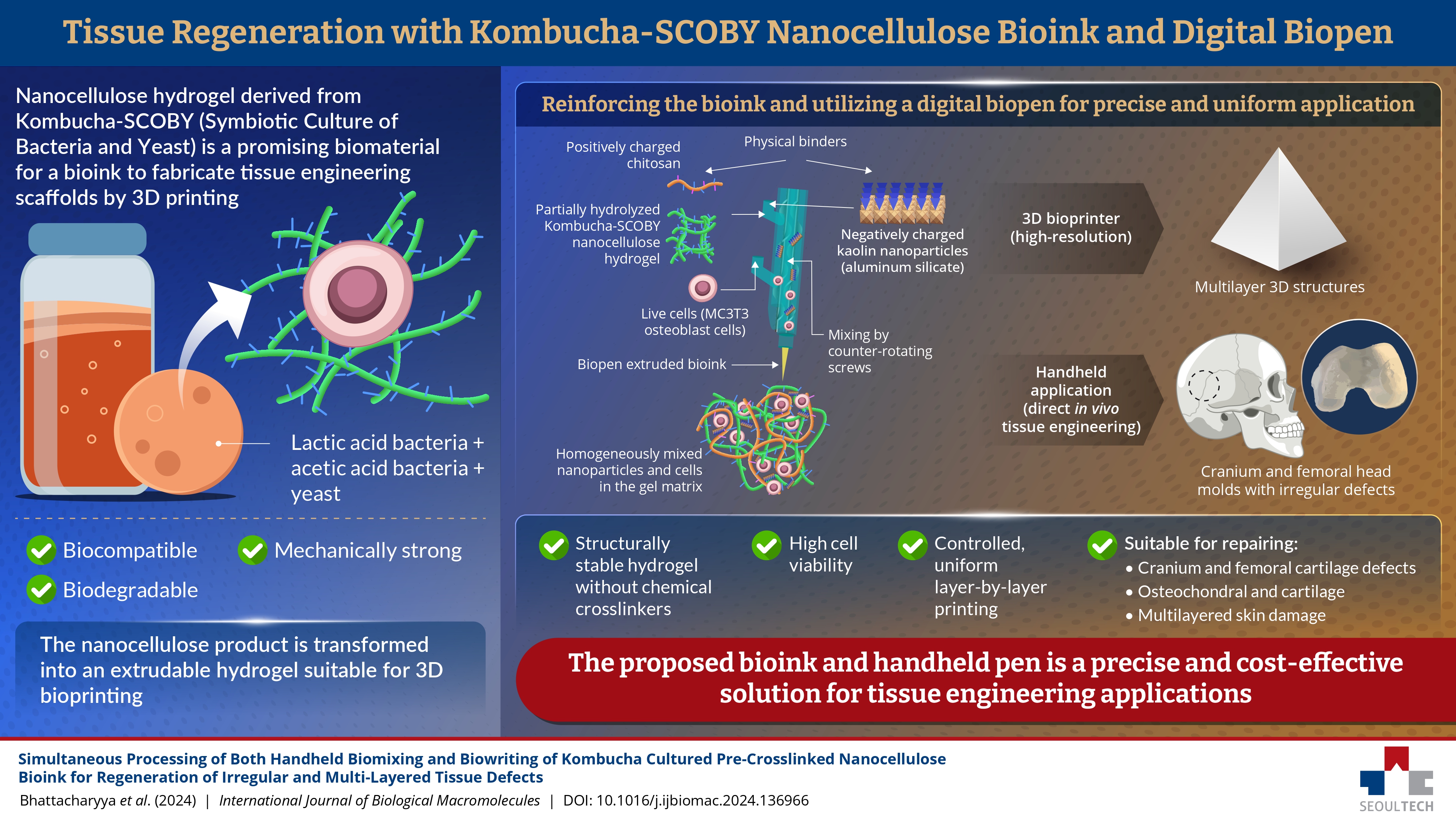 Seoul National University of Science and Technology Researchers Develop Bioink for Personalized Tissue Repair Using Kombucha SCOBY Nanocellulose 썸내일 이미지