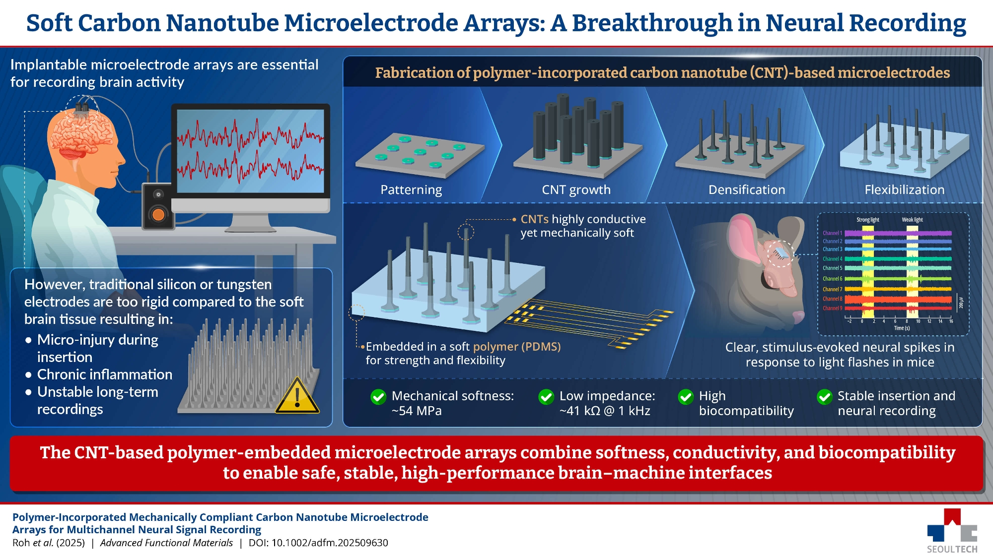 Developing Hybrid Polymer-CNT Electrodes for Safer Brain-Machine Interfaces